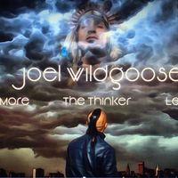 Joel Wildgoose